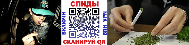 БУТИРАТ BDO 33%  где можно купить   Короча 