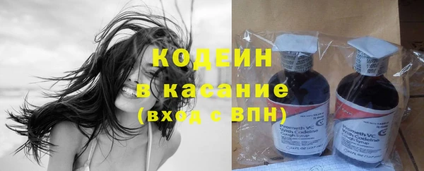 ГАЛЛЮЦИНОГЕННЫЕ ГРИБЫ Бородино