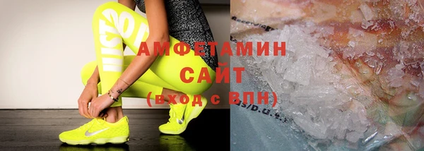 ГАЛЛЮЦИНОГЕННЫЕ ГРИБЫ Бородино