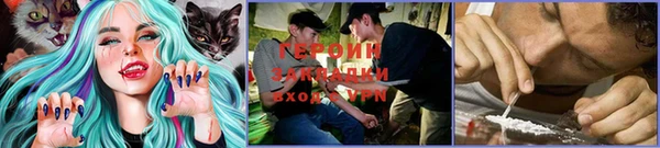 ГАЛЛЮЦИНОГЕННЫЕ ГРИБЫ Бородино