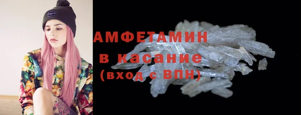 ГАЛЛЮЦИНОГЕННЫЕ ГРИБЫ Бородино