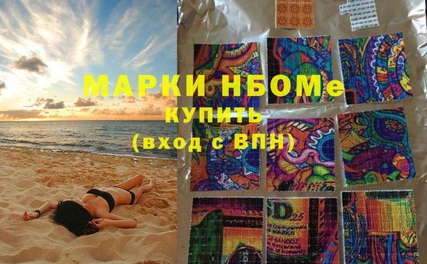 ГАЛЛЮЦИНОГЕННЫЕ ГРИБЫ Бородино
