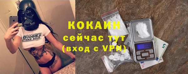 ГАЛЛЮЦИНОГЕННЫЕ ГРИБЫ Бородино