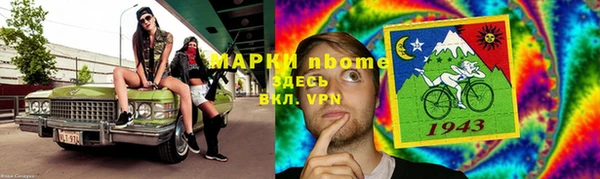 ГАЛЛЮЦИНОГЕННЫЕ ГРИБЫ Бородино