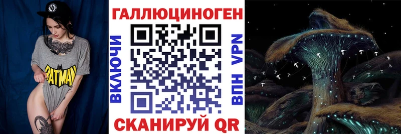 Псилоцибиновые грибы Psilocybine cubensis  Короча 